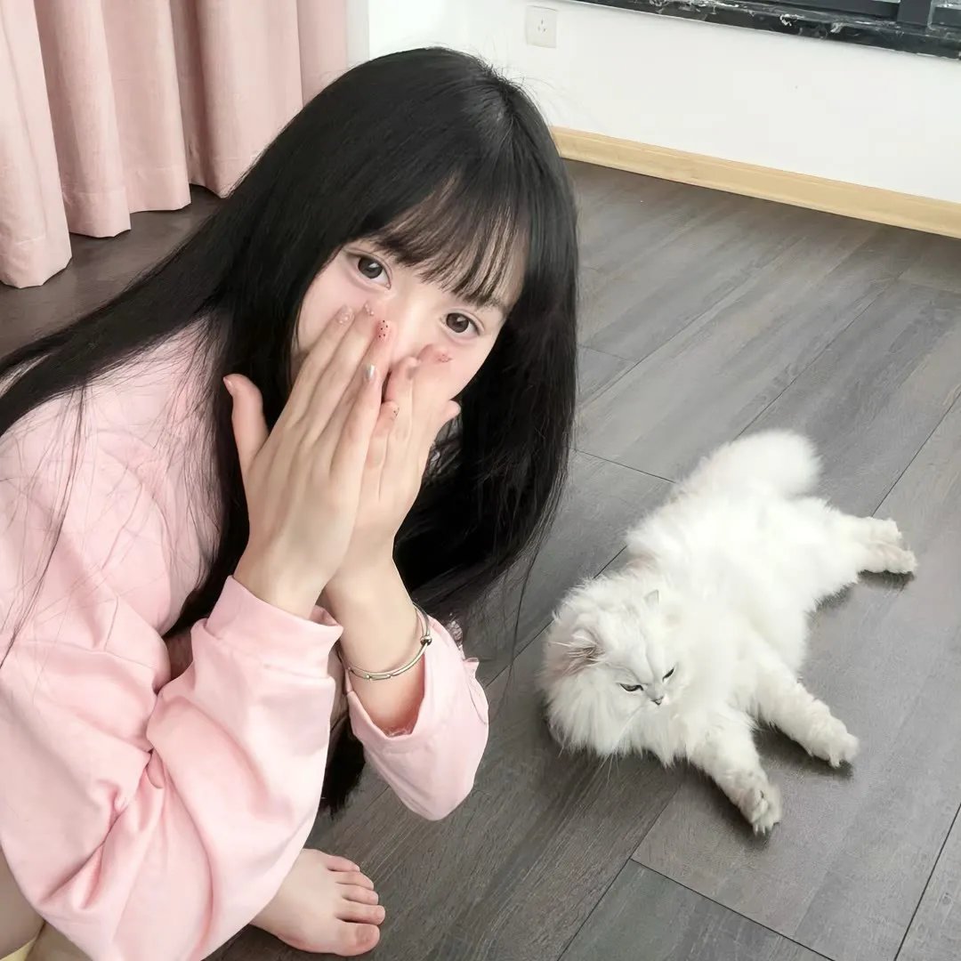 怪兽轨迹